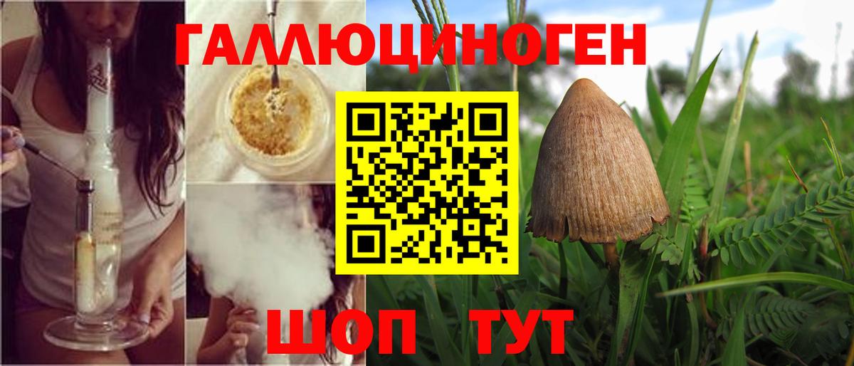 Галлюциногенные грибы GOLDEN TEACHER  даркнет сайт  Малгобек  Вход с VPN  Псилоцибиновые грибы GOLDEN TEACHER 