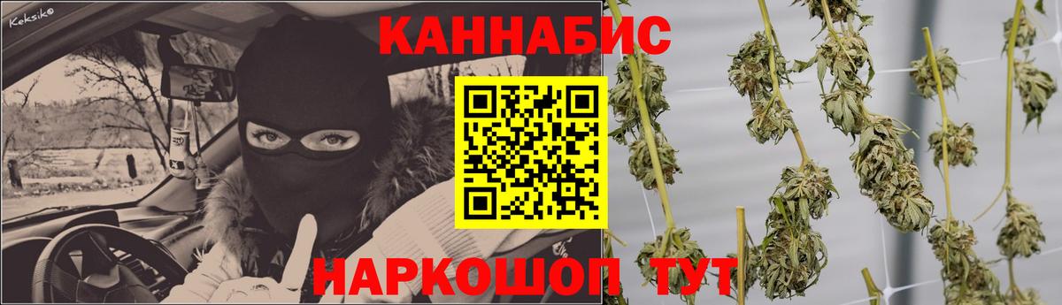Канабис сатива Малгобек